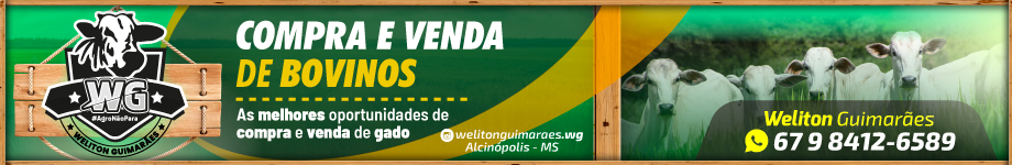wg-publicidade-nov-2023-compra-e-venda-920x150